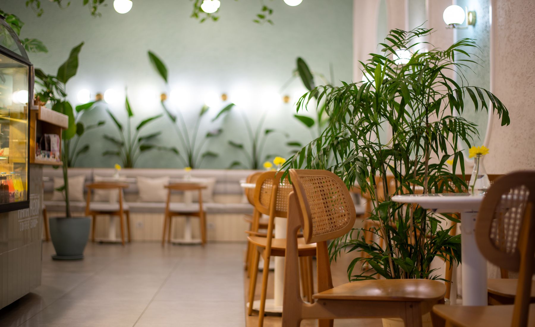Our sunny dining room with plants